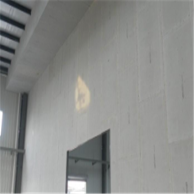 团风宁波ALC板|EPS加气板隔墙与混凝土整浇联接的实验研讨